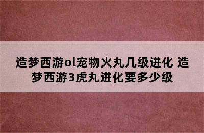 造梦西游ol宠物火丸几级进化 造梦西游3虎丸进化要多少级